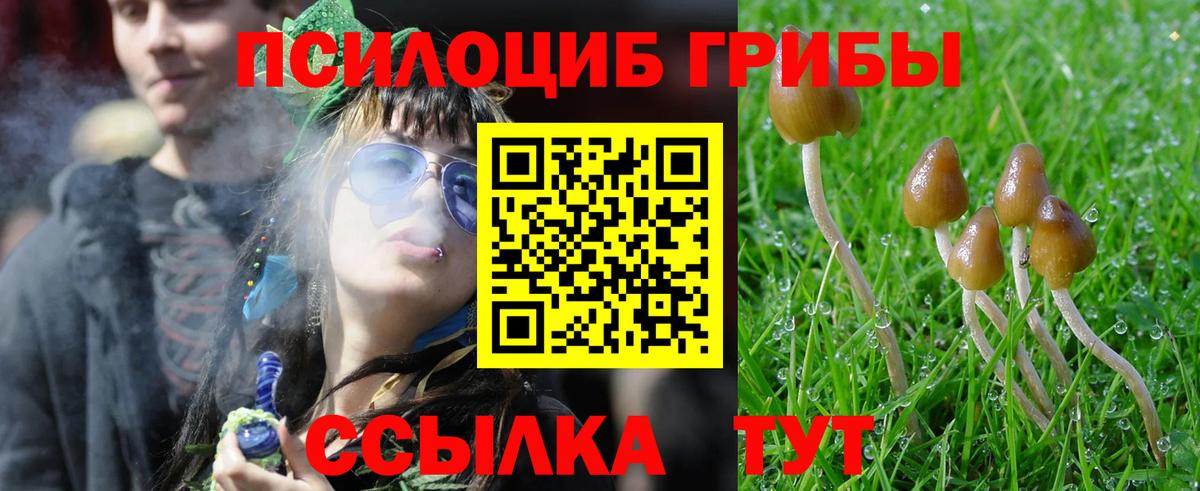 Галлюциногенные грибы Psilocybine cubensis  цены наркотик  Энгельс  Галлюциногенные грибы Magic Shrooms  Вход с VPN 